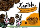 Festival “Xantolo  En Tu Ciudad”  Ofrece Foros Académicos