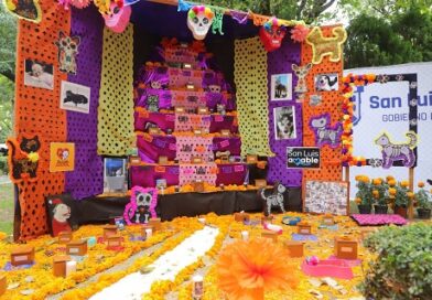 Domingo de Pilas y Altar para Mascotas del Gobierno de la Capital, convocaron a una multitud de familias en el Jardín de Tequis