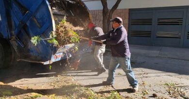 Día de Talacha 83 llega a la Colonia del Valle para mejorar su entorno y hacer comunidad