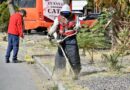 Gobierno de la Capital continúa con las mejoras en la zona aledaña al Estadio Alfonso Lastras