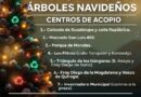 Ayuntamiento de SLP pone en operación los centros de acopio de árboles navideños naturales