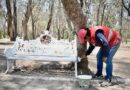 Dan mantenimiento integral al Parque de Morales para preservar uno de los pulmones de la ciudad