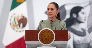 La nueva Ley de Telecomunicaciones y Radiodifusión tiene como objetivo conectar a 15  Millones  de Mexicanos sin acceso a Internet