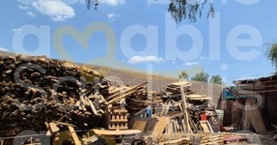 Clausura Comercio Municipal tarimeras con irregularidades en la Delegación La Pila
