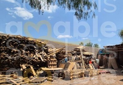 Clausura Comercio Municipal tarimeras con irregularidades en la Delegación La Pila
