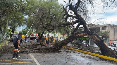 Gobierno de la Capital realiza operativo integral de atención por lluvias de este domingo
