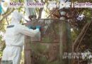 Neutralizan dos laboratorios en Sinaloa y evitan la distribución de casi 5 toneladas de metanfetamina