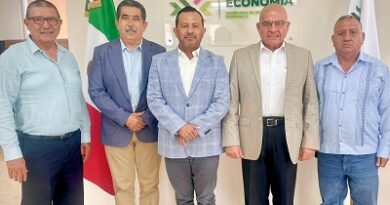 San Luis Potosí en el Top 10 Nacional de Minería