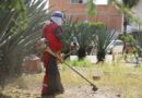 Capital al 100 revitaliza Valle Campestre con limpieza y mantenimiento integral