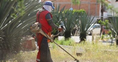 Capital al 100 revitaliza Valle Campestre con limpieza y mantenimiento integral