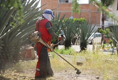 Capital al 100 revitaliza Valle Campestre con limpieza y mantenimiento integral