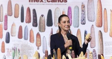 Presidenta Claudia Sheinbaum anunica Programa “Sin Maíz No Hay País” para producir Bienestar