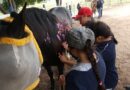 Equinoterapia en la UBR Maravillas fortalece inclusión y bienestar en San Luis Potosí