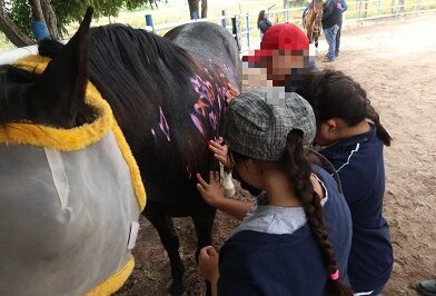 Equinoterapia en la UBR Maravillas fortalece inclusión y bienestar en San Luis Potosí