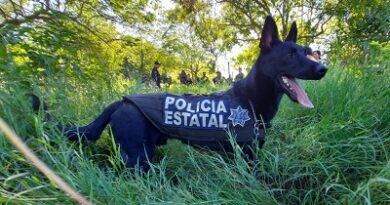 Con Honores , Autoridades despiden “Drako” luego de ocho años de servicio en  la Unidad Canina de la GCE