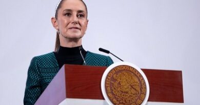 Presidenta Claudia Sheinbaum anuncia Plan por La Paz y La Justicia ; “La Seguridad se sostiene con Justicia , Desarrollo y Respeto a la Vida”