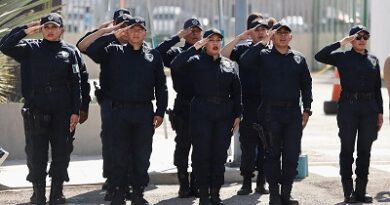 2025: año de reducción delictiva en San Luis Capital