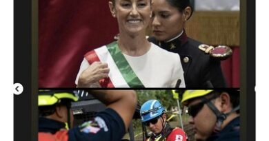 Richard Gere, Viola Davis, Jamie Lee Curtis,Billie Eilish y Shirley Manson: Las celebridades que reconocieron el trabajo de la Presidenta  Claudia Sheinbam en este 2025