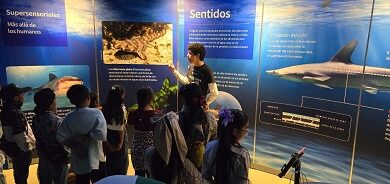 Recreación sin límites para niñez de Pueblos Originarios