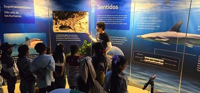 Recreación sin límites para niñez de Pueblos Originarios