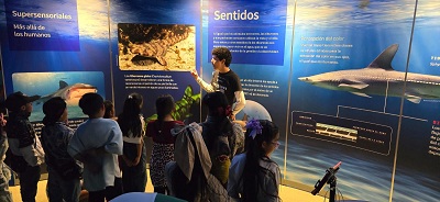 Recreación sin límites para niñez de Pueblos Originarios