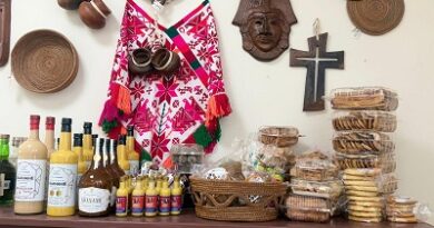 Proyección sin límites de San luis Potosí en la Feria Estatal de León 2026