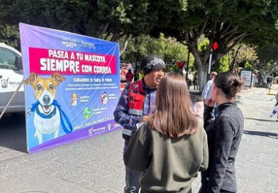 Gobierno de la Capital promueve paseo responsable de animales de compañía