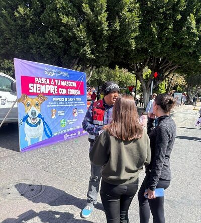 Gobierno de la Capital promueve paseo responsable de animales de compañía