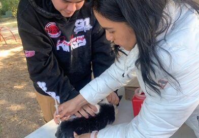 Responde ciudadanía a Jornadas gratuitas de vacunación del Ayuntamiento de SLP