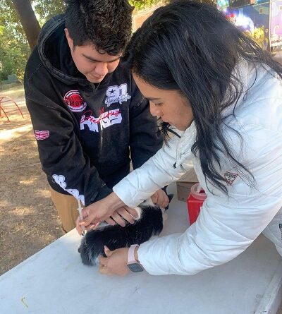 Responde ciudadanía a Jornadas gratuitas de vacunación del Ayuntamiento de SLP