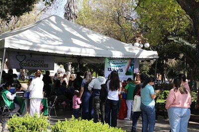 Jornadas de vacunación mantienen alta respuesta en San luis Potosí