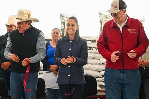 Alcanzamos la autosuficiencia alimentaria de frijol gracias a Zacatecas: Presidenta Claudia Sheinbaum