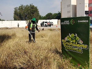 Gobierno Estatal avanza en Programa Enchúlame la Colonia