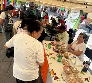 Gobierno Estatal impulsa el emprendimiento y la economia local en municipios