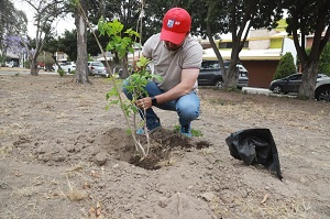  Gobierno de la Capital fortalece espacios públicos en toda la Capital con “Domingo de Pilas”
