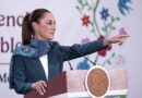 Coordinación de la Estrategia Nacional de Seguridad reduce 40% los homicidios dolosos , de septiembre de 2024 a abril 2026