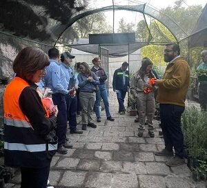 Mantiene Ayuntamiento de SL Capital amplio programa ambiental en “Casa Colorada”