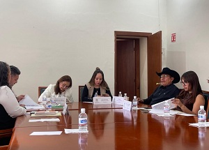 Aprueban en Comisión de Justicia Reforma al Código Penal: María Leticia Vázquez Hernández