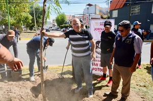 San Luis Capital participa en jornada nacional de reforestación del Gobierno de México