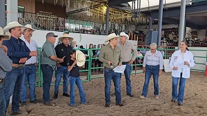 Gobierno del Estado reconoce a lo mejor del ganado Limousin de México en Fenapo 2026
