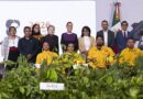 Presidenta Claudia Sheinbaum presenta La Jornada Nacional de Forestación 2026; se realizará el próximo domingo 9 de agosto