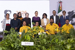 Presidenta Claudia Sheinbaum presenta La Jornada Nacional de Forestación 2026; se realizará el próximo domingo 9 de agosto