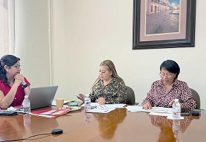 Congreso pide a autoridades federales  bajen el costo  de las  tarifas de  peaje: Diputada Jacquelinn Jauregui Mendoza  