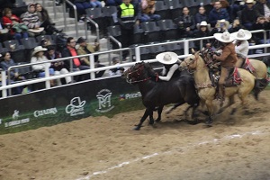 Arena Potosí recibe este lunes nuevas jornadas del Campeonato Nacional Charro