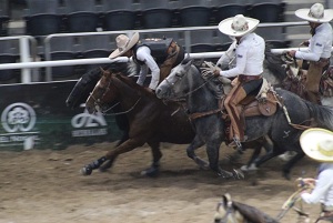 San Carlos La Estancia avanza a semifinales del Nacional  Charro