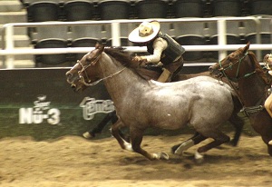 Tres Charros disputarán La Corona Nacional en la Arena Potosí